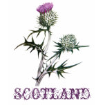 Flower of Scotland Thistle T-Shirt