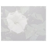 Flower of the Sacred Datura Pink flowers Letterhead Template