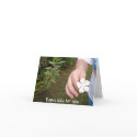 Flower Offering for Mother's Day cards by wendyqzx Flower Offering for Mother's Day cards
