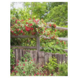 Flower on a Fence Flyers