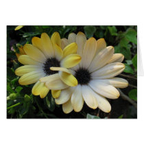 Flower One cards