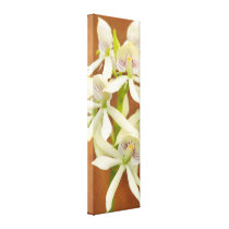 Flower - Orchid - A gift for you canvas prints