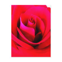Flower Painting Postcard