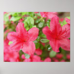 Flower Pair posters