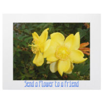 FLOWER PAPER letterhead by lovelyhat FLOWER PAPER letterhead