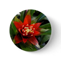 flower Perfect buttons by Debrene flower Perfect buttons