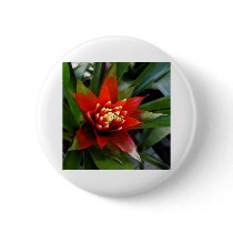 flower Perfect buttons by Debrene flower Perfect buttons