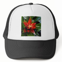 flower Perfect hats by Debrene flower Perfect hats