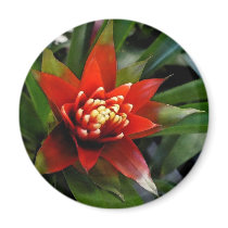 flower Perfect magnets by Debrene flower Perfect magnets