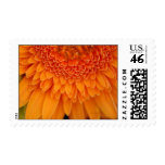 Flower Petal - Postage