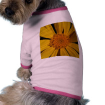 Flower Petals pet clothing by lifesphere Flower Petals pet clothing