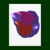 Flower Petals postcards by doonagiri Flower Petals postcards