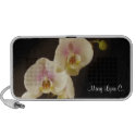 Flower phalaenopsis orchid photography your name doodle