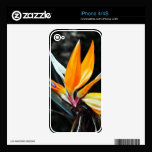 Flower Phone Skin skins