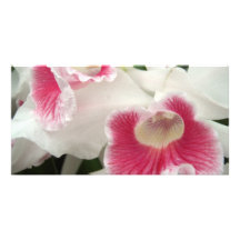 Flower Photo Card