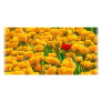 Flower Photo Card