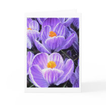 Flower Photography - "Purple Flower 05" Greeting Cards