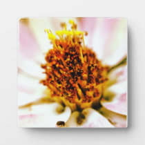 Flower Placque plaques