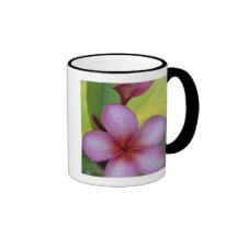 Flower, Plumeria sp.), South Pacific, Niue Coffee Mugs