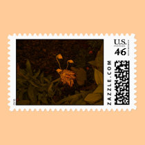 flower pods postage