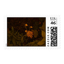 flower pods postage
