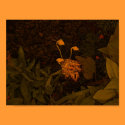 flower pods posters by pattycake flower pods posters