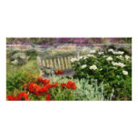 Flower - Poppy - Poppies Photo Greeting Card