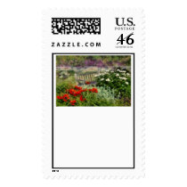 Flower - Poppy - Poppies Stamps