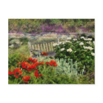 Flower - Poppy - Poppies Postcards