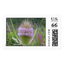 Flower Stamp