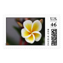Flower postage by efatima Flower postage