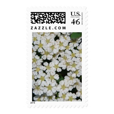 flower postage stamps by spyderpntbll3