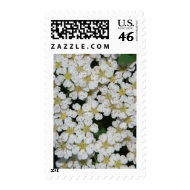 flower stamp