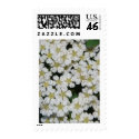 flower postage by spyderpntbll3 flower postage