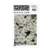 flower postage by spyderpntbll3 flower postage