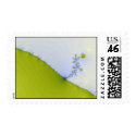 flower postage by visionaryplaces flower postage