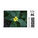 flower postage by mark59956 flower postage
