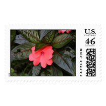flower postage by mark59956 flower postage