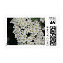 flower postage