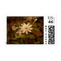 Flower postage by PhotoJoeVa Flower postage