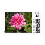 Flower Postage