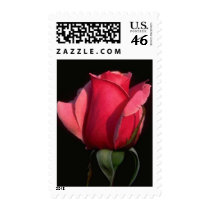 Flower Postage Stamp