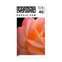 Flower Postage Stamps