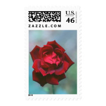 Flower Postage Stamps