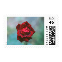 Flower Postage Stamps