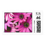 Flower Postage Stamps stamps