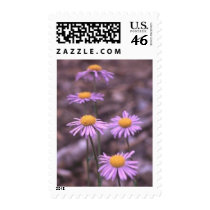 Flower Postage Stamps