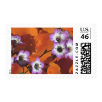 Flower Postage Stamps