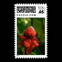 Flower Postage Stamps