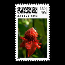 Flower Postage Stamps